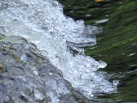 Water Running Downstream