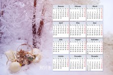Winter Calendar For 2013