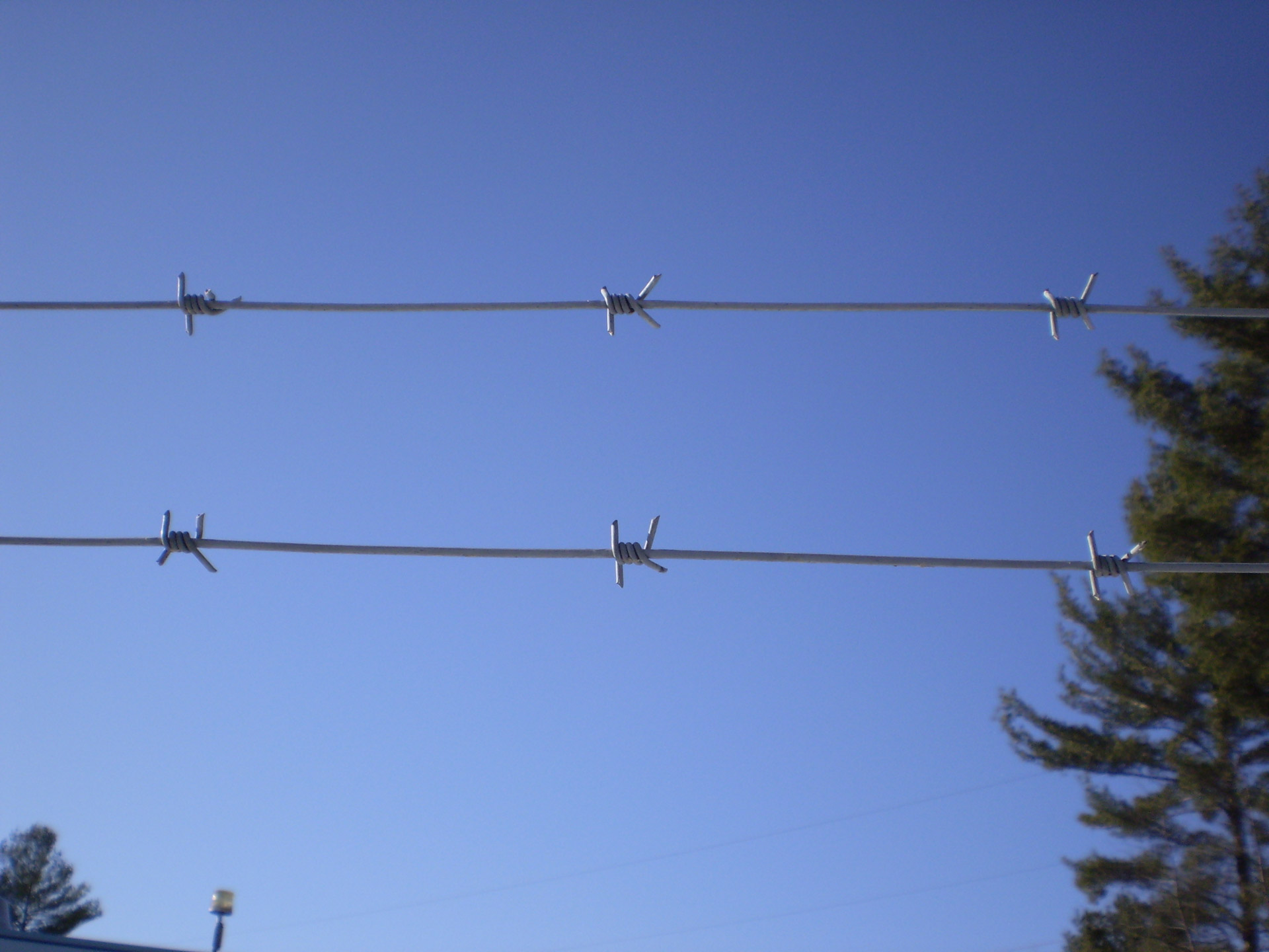 Barbed Wire Free Stock Photo - Public Domain Pictures