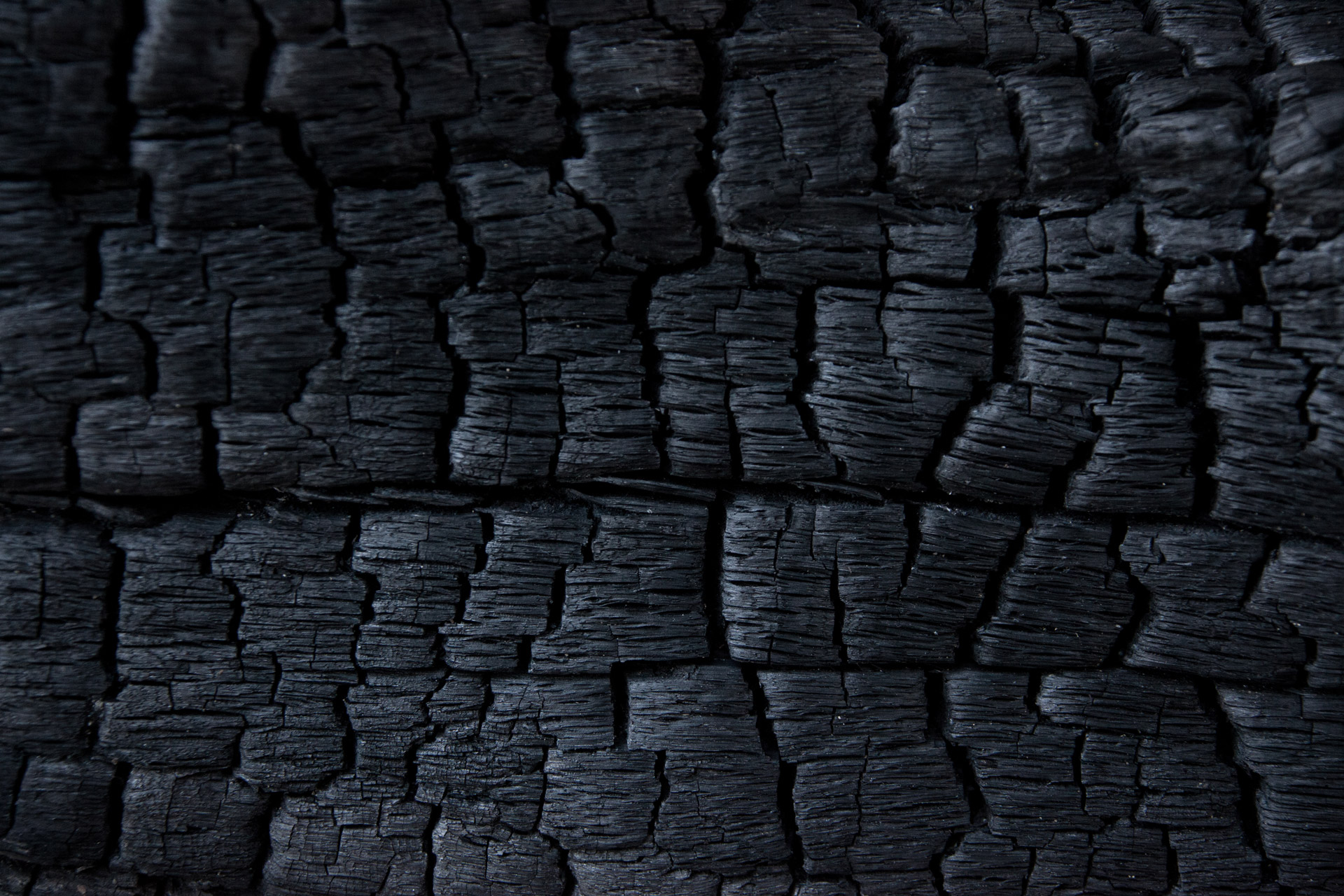 Burnt Wood Texture