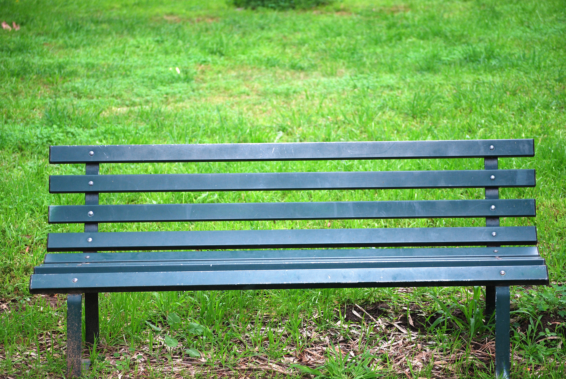 Park bench with grass
