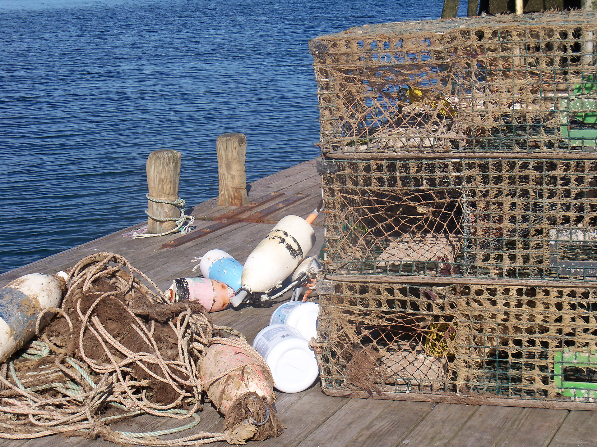 photo of lobster traps by the ocean
