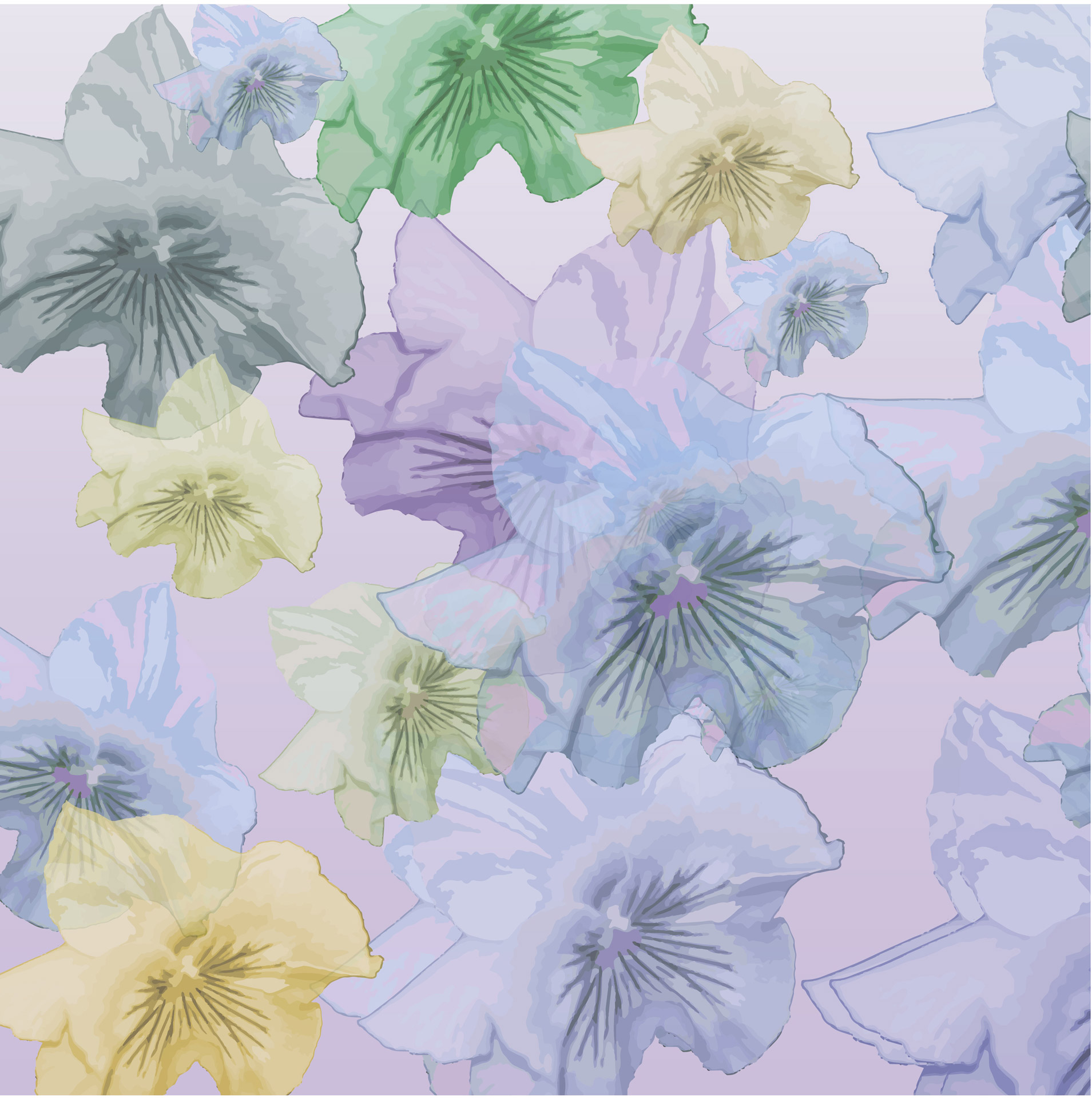 Pansy Flower Bloom Background with Summer Flavour