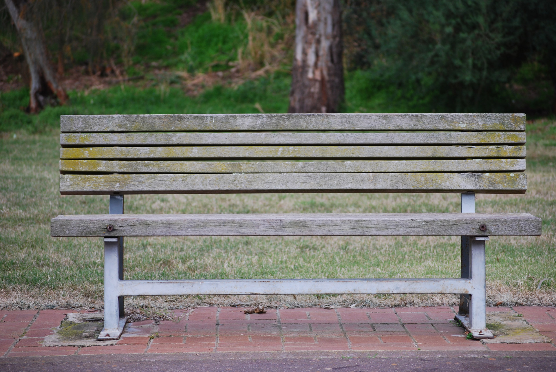 Bench in a park in Australia