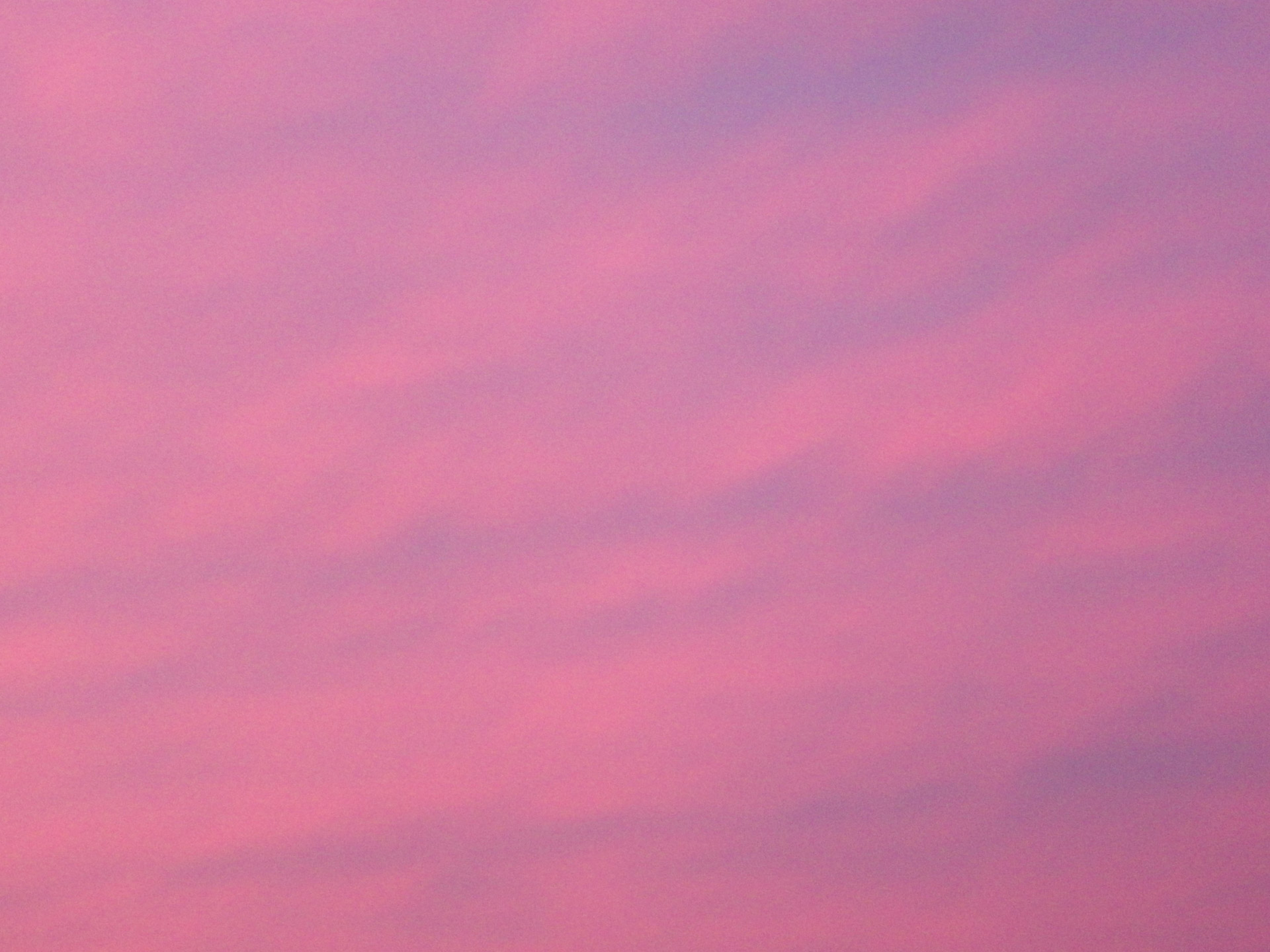 Pink Evening Sky