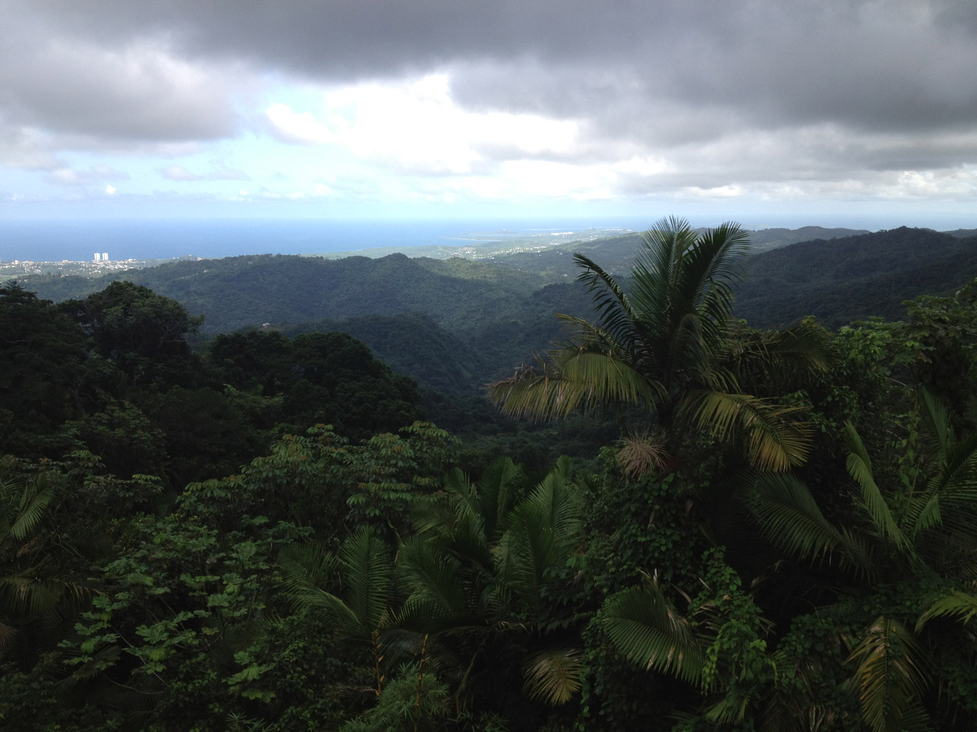 Tropical rainforest overlooking ocean, El Yunque, Puerto Rico