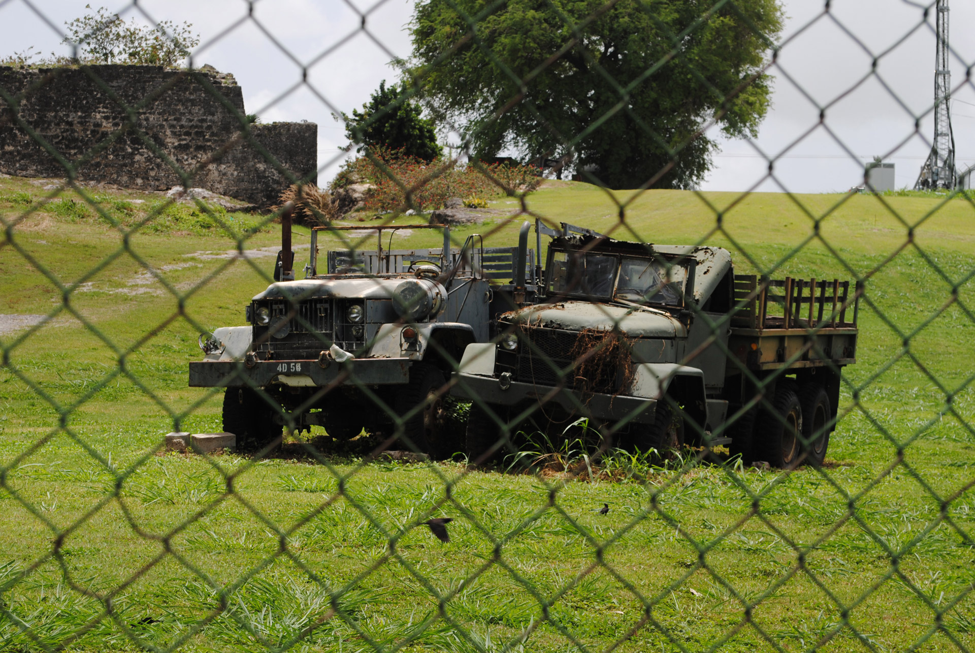A couple of old army trucks left to rust