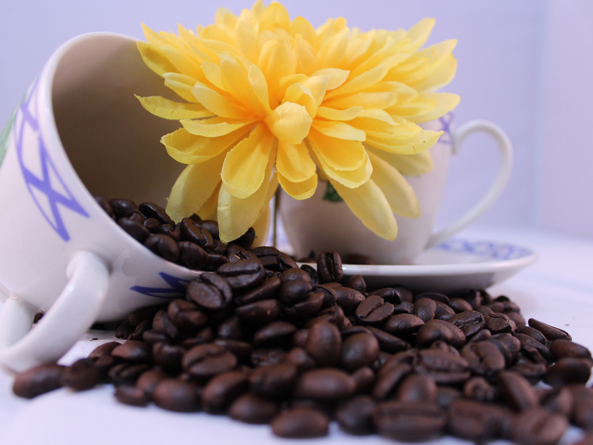 A set-up using teacups, coffee beans and a flower.