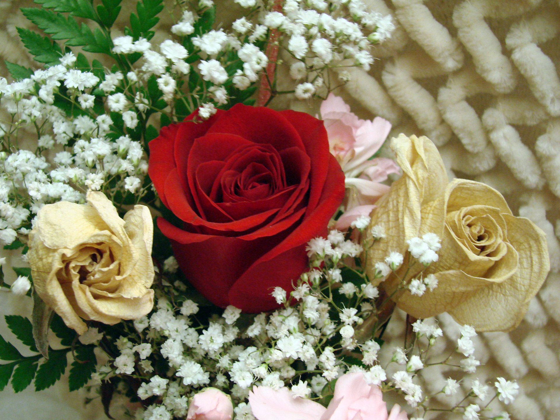 A fresh red rose and two dried white roses in arrangement.