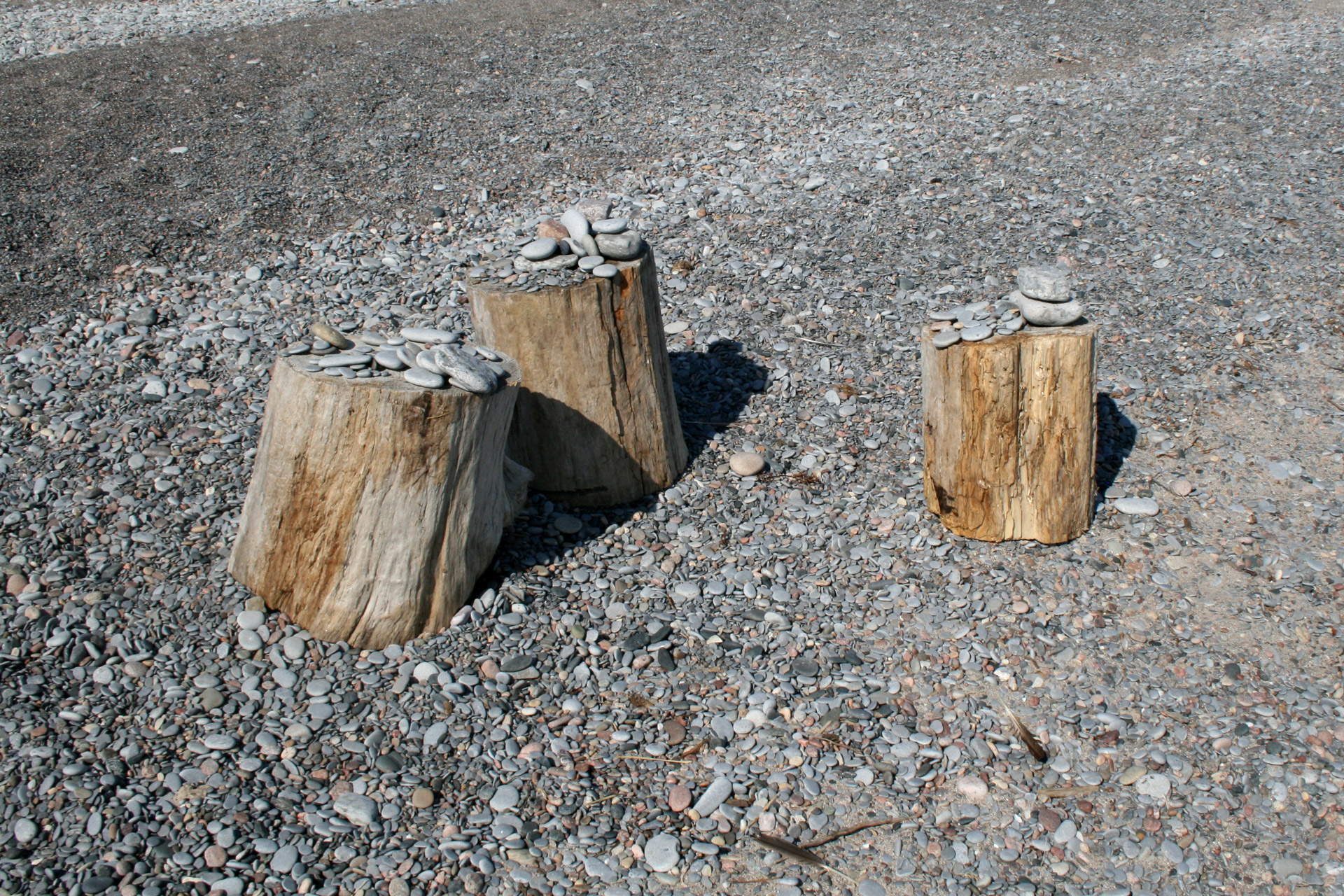 Tree stumps on the shore with stones placed on them.
