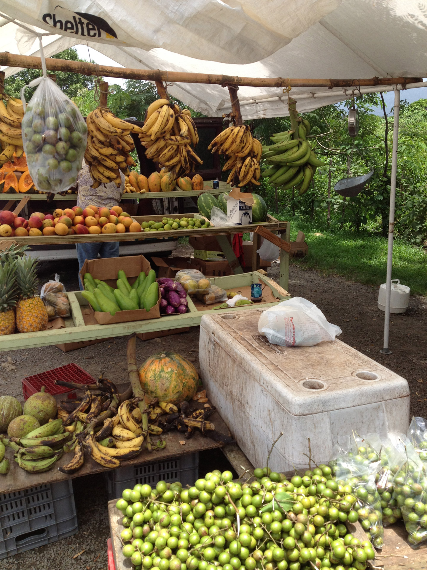 Roadside fruit stand, Puerto Rico