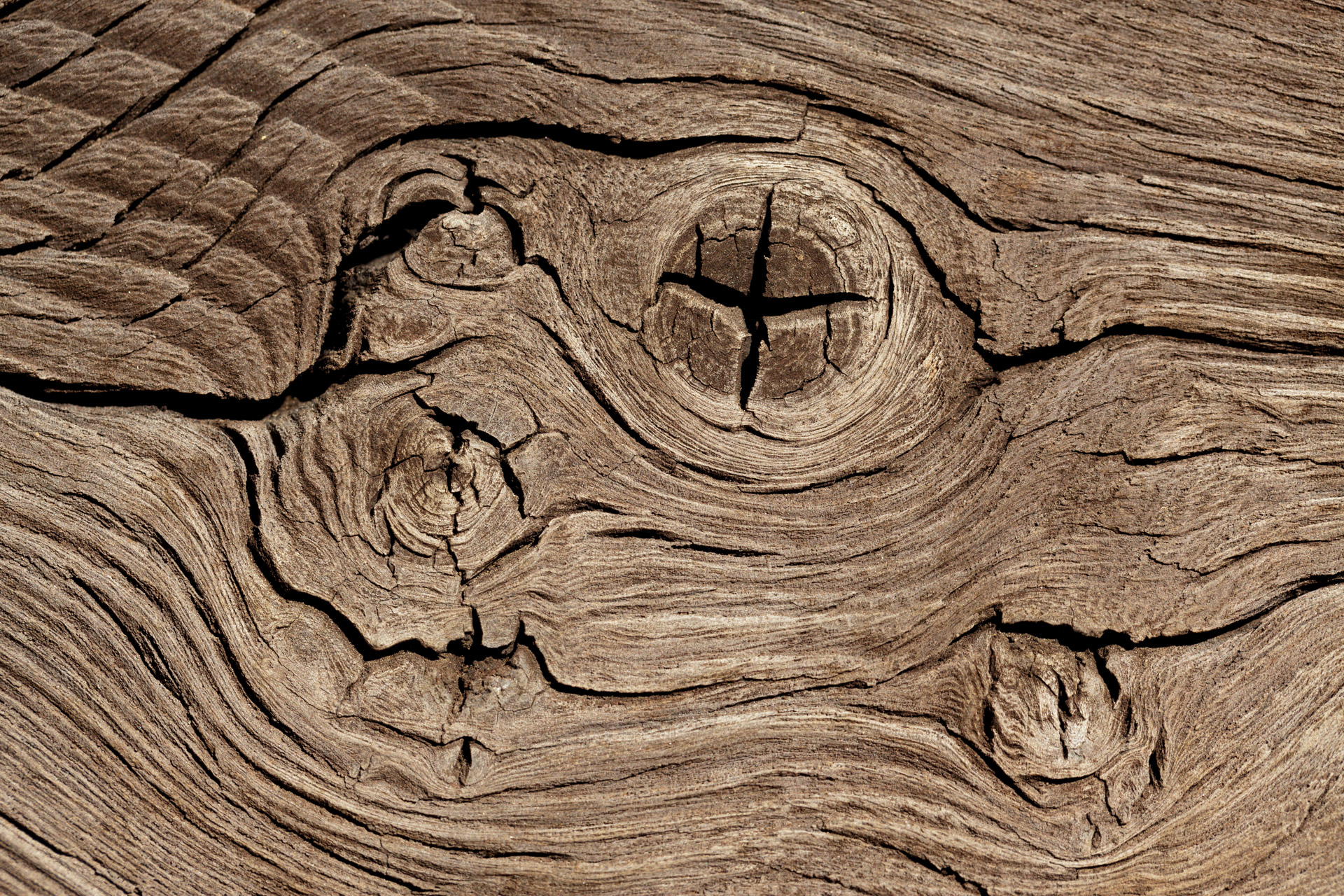 Wood Knots