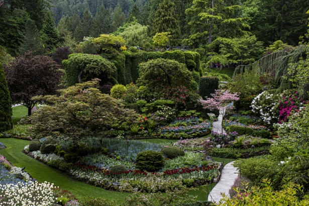 276 Butchart Gardens Night Images, Stock Photos, 3D objects