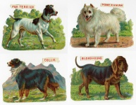 4 Beautiful Dogs Victorian Scraps