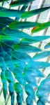 Abstract Fish Background