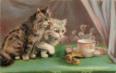 Afternoon Tea Cats 1910