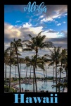 Aloha Hawaii Travel Poster