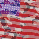 American Flag With Camo Design