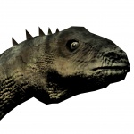 Argentinosaurus Head