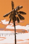 Artistic Palm Tree