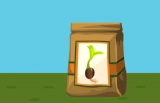 Bag Of Seeds