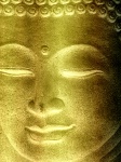Buddha's Face