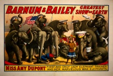 Circus Elephants Vintage Poster