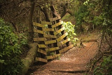 Crude Fence On Side Of Forest Path