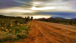 Desert Dirt Road
