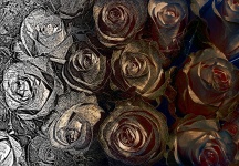 Design To Reality Roses