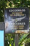 Do Not Swim Crocodiles