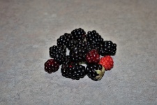 Fresh Blackberries On Table