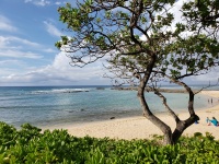 Hawaii Ocean Scenic