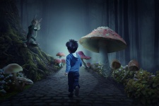 Boy In Wonderland