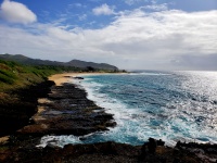 Lava Rock Beach Hawaii