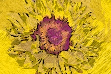 Modern Art Sunflower