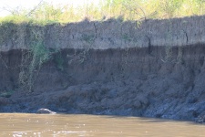 Muddy River Embankment