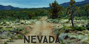 Nevada Travel Poster