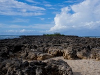 Oahu Beach Scenic
