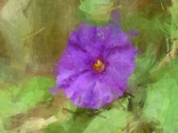 Oil Painting Purple Flower