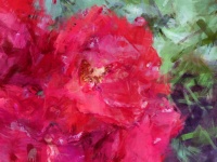 Oil Painting Red Flowers