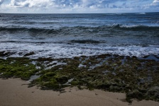 Pacific Ocean On The Shores Of Oahu