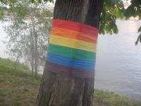 Pride Flag On Tree