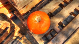 Pumpkin On Crate