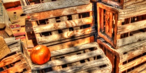 Pumpkin On Wooden Crates