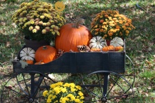 Pumpkins And Flowers In Cart 2