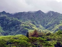 Rainforest Mountains