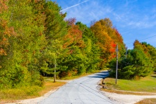 Road And Autumn Trees