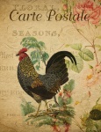 Rooster Vintage Floral Postcard