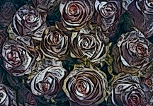 Roses Art